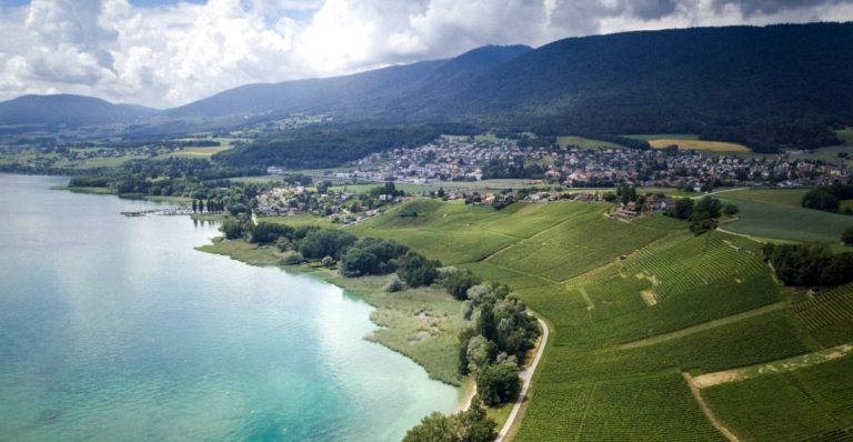 coupe du vignoble 2025 CEP Cortaillod